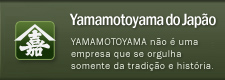A YAMAMOTYAMA do Japão